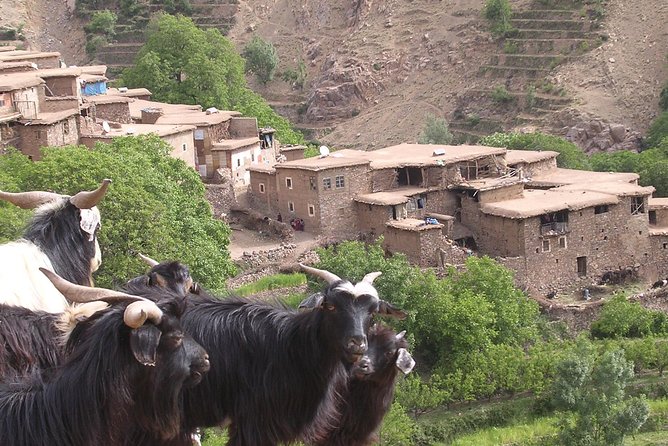 Private Guided Atlas Day Tour From Marrakech With Lunch in a Berber Family Home - Good To Know