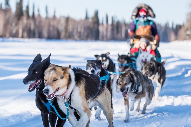 Private Guided Chena River Mush Dream Vacation in Fairbanks - Good To Know