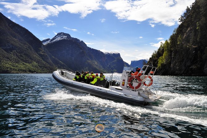 4 Best Safari Tours In Bergen