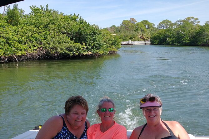 Private Guided Dolphin Sightseeing Cruise in St. Petersburg