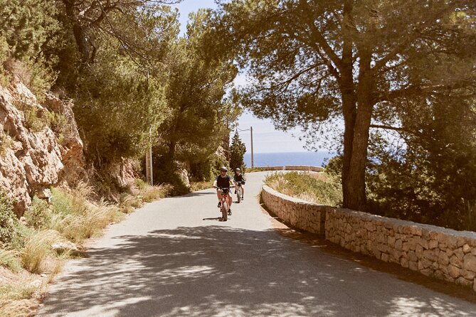 Private Guided Ebike Tour in Ibiza - Tour Overview and Inclusions