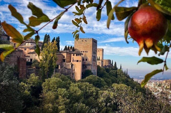 Private Guided Night Tour to the Alhambra
