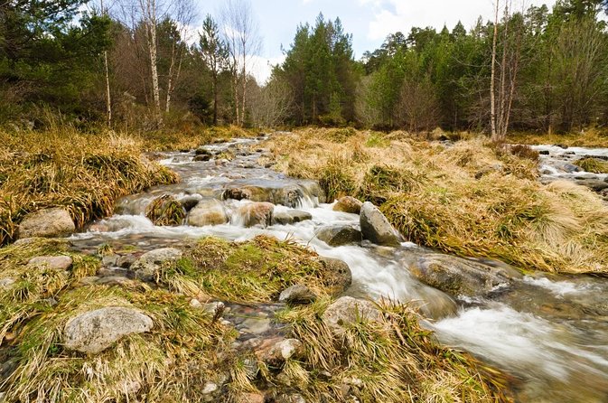 Private Guided Rock Climbing Experience in the Cairngorms
