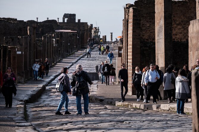 Private Guided Tour From Rome to Pompeii - Highlights of Pompeii