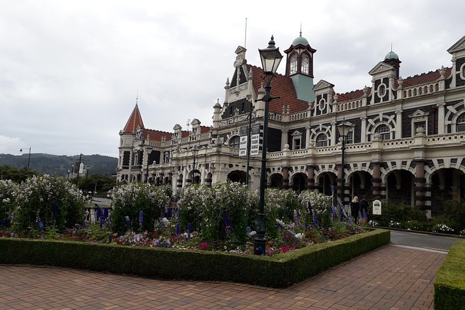 Private Guided Tour of Dunedin City Heritage and Unique Wildlife and Scenery