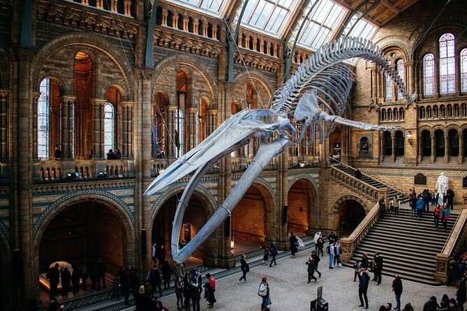 Private Guided Tour of Natural History Museum - Skip the Line