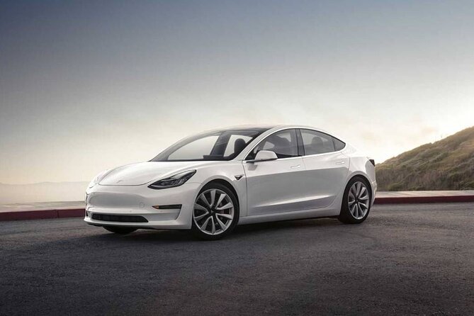 Private Guided Tour of Rome by Luxury Car With Driver - Why Choose a Private Guided Tour?