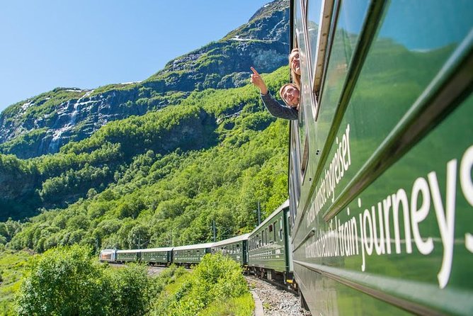 Private Guided Tour - Premium Nærøyfjord Cruise and Flåm Railway
