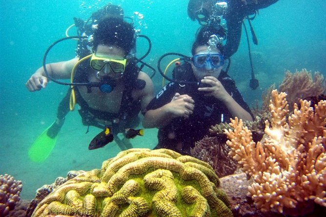 Private Guided Tour Scuba Diving At Marine Protected Area Included Lunch - Good To Know