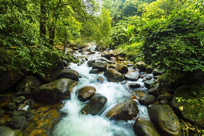 2 Best Guided Tours In Gulf of Thailand