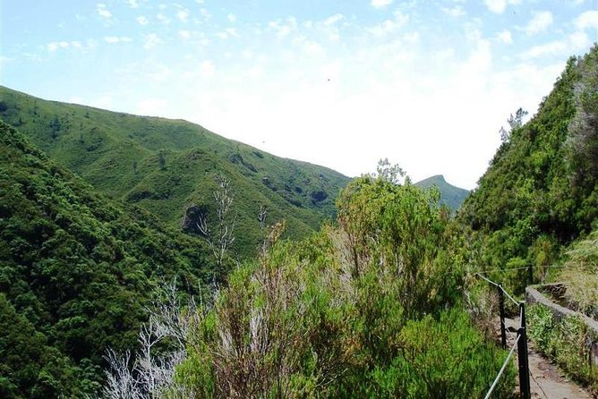 Private Guided Walk Levada 25 Fontes - Pricing and Booking