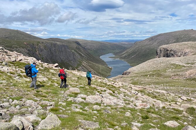 4 Best Walking Tours In Aviemore