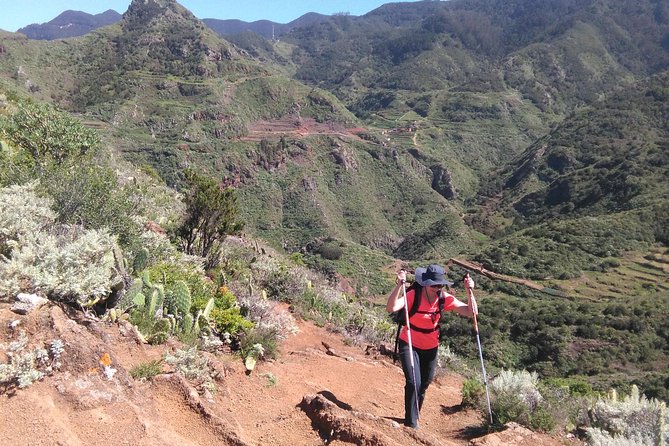 Private Half-Day Anaga Trekking Excursion  - Tenerife - Tour Details