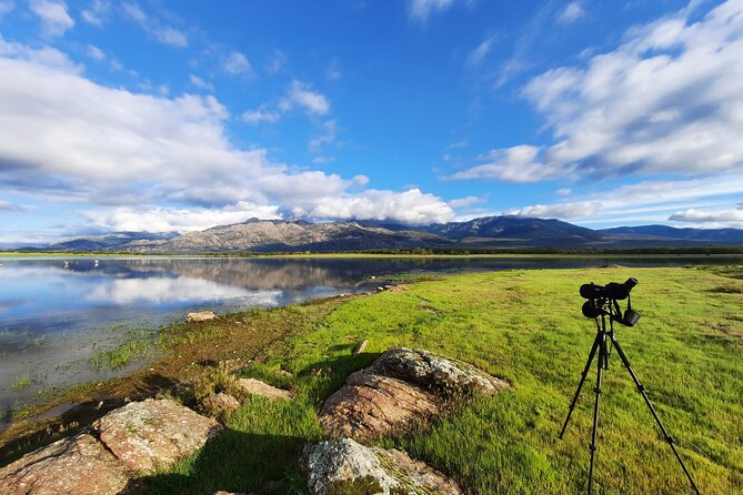 Private Half-Day Birding Tour in Santillana Reservoir Madrid - Good To Know
