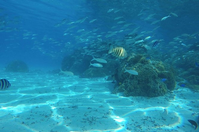 PRIVATE HALF DAY CULTURAL & LAGOON TOUR – Bora Bora Cultural Lagoon Tour