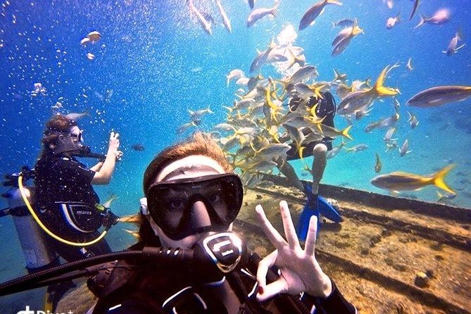 Private Half-Day Dive Trip in St Thomas Virgin Islands