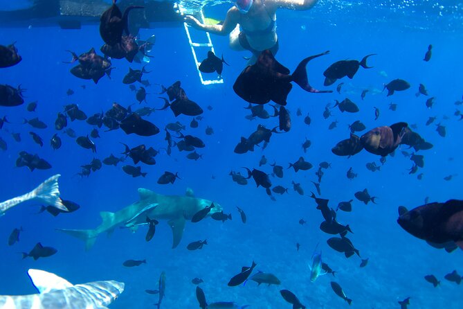 PRIVATE HALF DAY LAGOON TOUR – Bora Bora Cultural Lagoon Tour