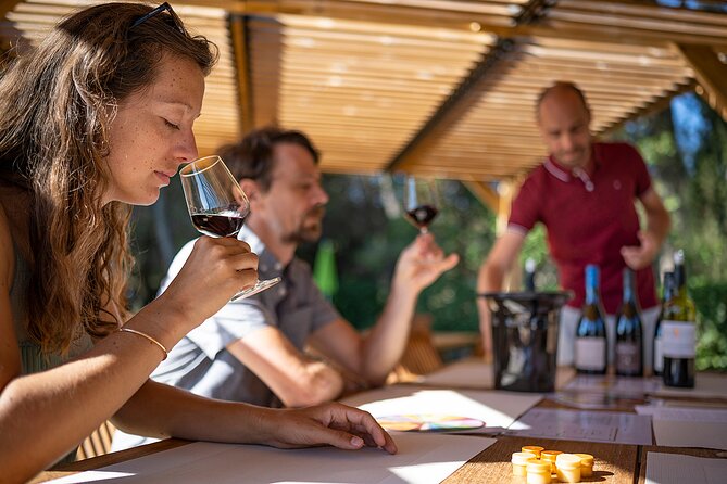 2 Best Wine Tours In Sete