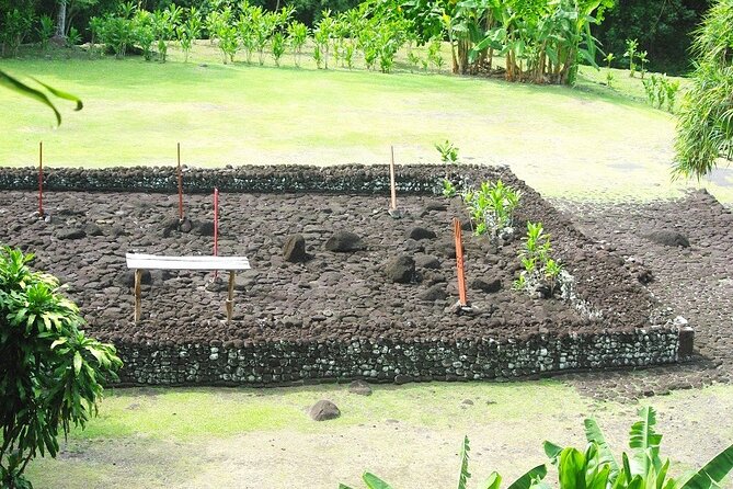 Private Half-Day Natural Highlights Tour of Tahiti  - Papeete - Tour Overview
