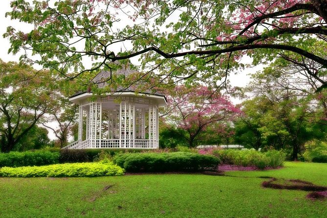 Private Half Day Singapore City Tour With Botanical Orchid Garden