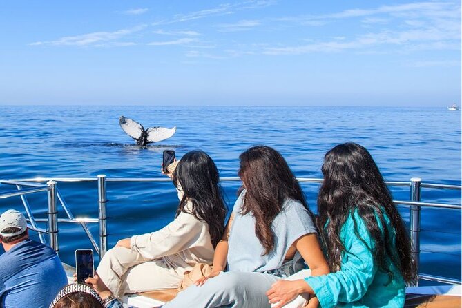 Private Half Day Whale Watching Expedition in Puerto Vallarta