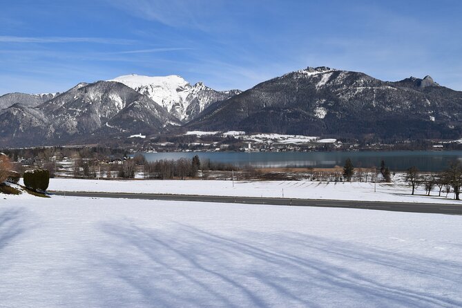 Private Hallstatt Tour With Tour End in Vienna - Good To Know