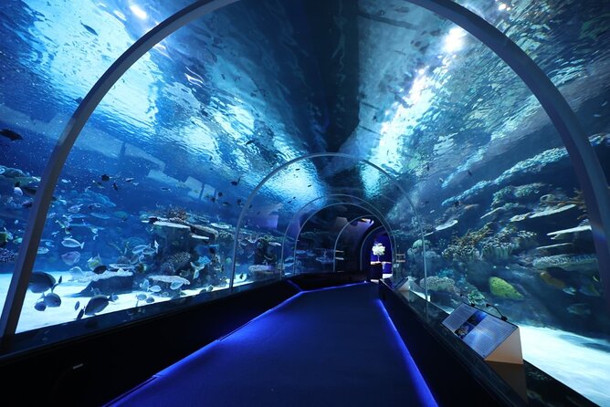 2 Best Shore Excursions In Doha