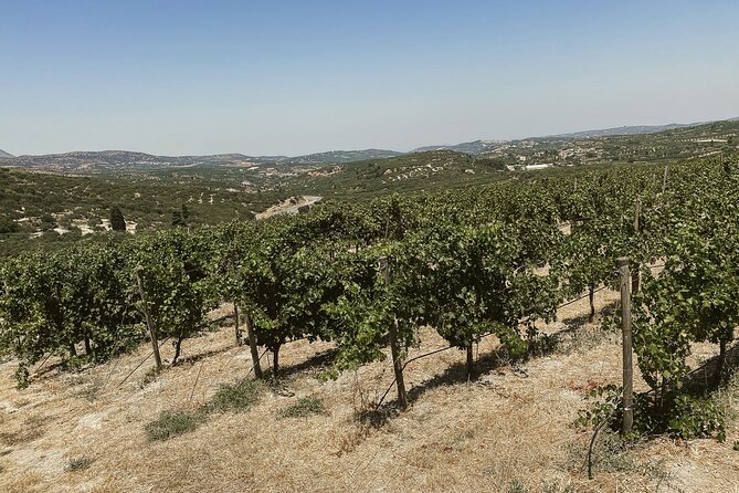 Private Heraklion Wine Country Tour