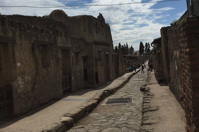 Private Herculaneum Tour for Kids and Families - Common Questions