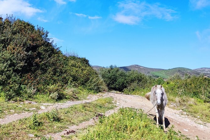 Private Hiking Tour in Gramvousa Peninsoula From Kissamos - Pricing and Booking Information