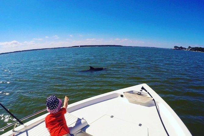 Private Hilton Head Dolphin Watching Tour With Waterfront Dining Stops - Dolphin Watching Experience