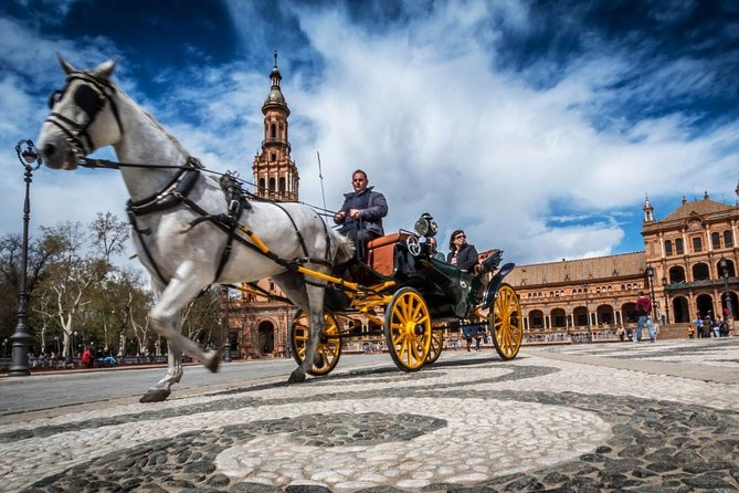 Private Horse Carriage Ride and Walking Tour of Seville - Good To Know