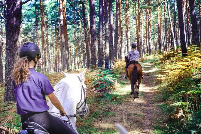 Private Horse Ride in Madrid Natural Park Reserve - Pricing and Booking
