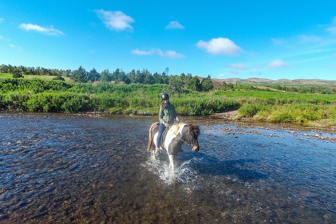 Private Horse Riding Tour in Mosfellsdalur - Good To Know