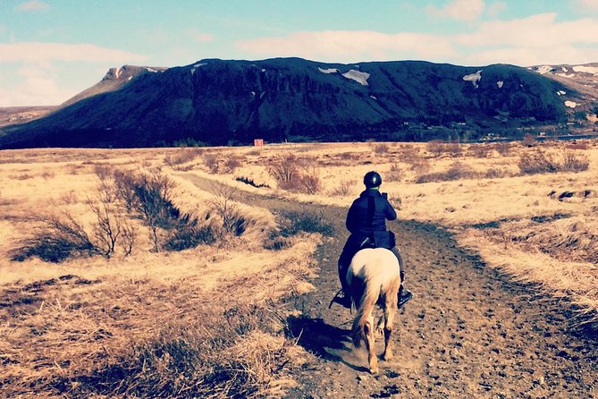 Private Horse Riding Tour of Lake Hafravatn From Reykjavik - Good To Know