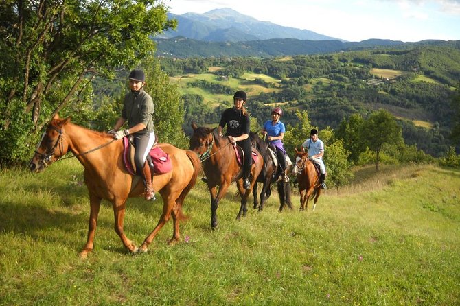 Private Horseback Riding Tour in Sicilian Countryside Tradional Lunch - Good To Know