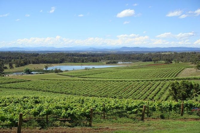 Private Hunter Valley Wine-Tasting Day Tour From Sydney - Good To Know