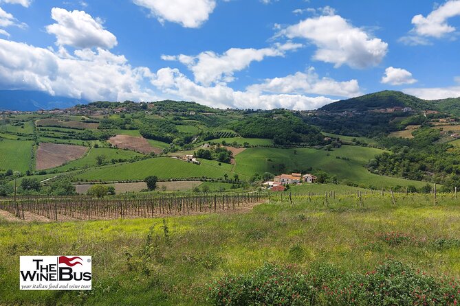 Private Irpinia Wine Tour From POSITANO, AMALFI or RAVELLO - Good To Know