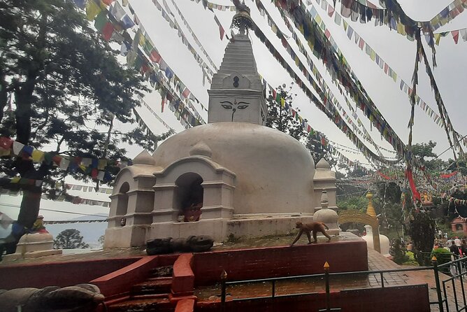 Private Kathmandu Top 4 UNESCO World Heritage Sites - Day Tour
