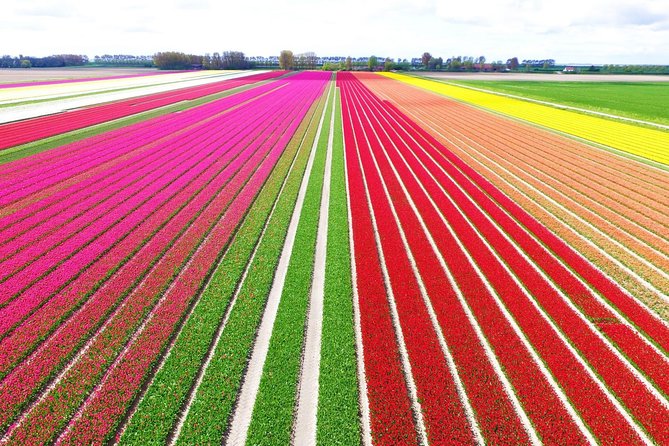 Private Keukenhof Tulip Fields & Flowers Sightseeing Tour From Amsterdam - Good To Know