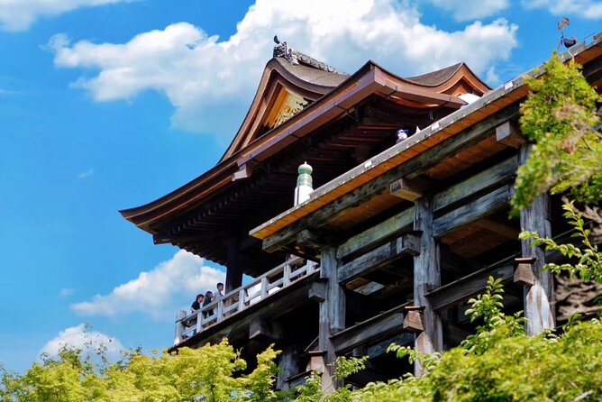 Private Kyoto Full Day Tour With Driver and Car From Osaka