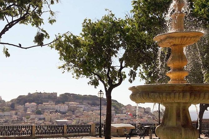 Private Lisbon Half Day Tour - Reviews and Ratings