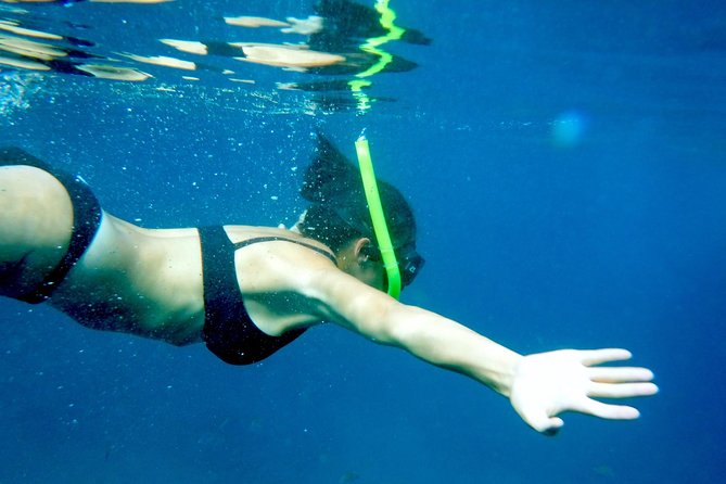 Private Los Arcos Snorkel and Beach Tour From Puerto Vallarta - Good To Know