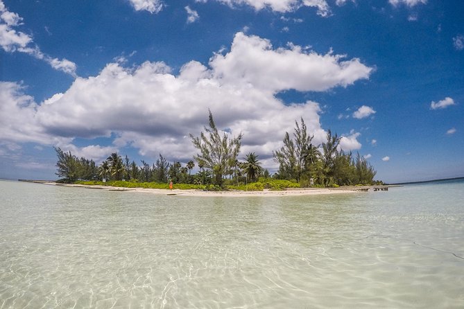 Private, Luxury, Custom Charters to Stingray City, Snorkeling & More