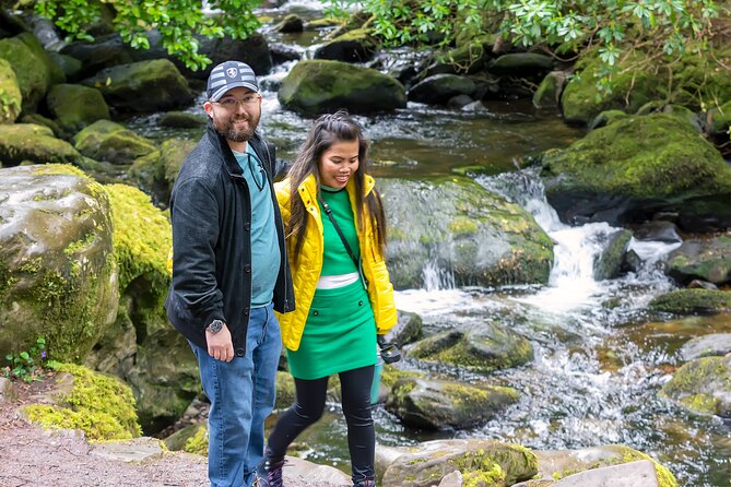 Private Luxury Day Killarney and National Park Tour - Private Luxury Experience