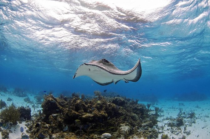 9 Best City Tours In Grand Cayman
