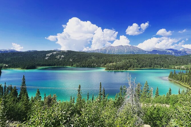 2 Best Shore Excursions In Skagway