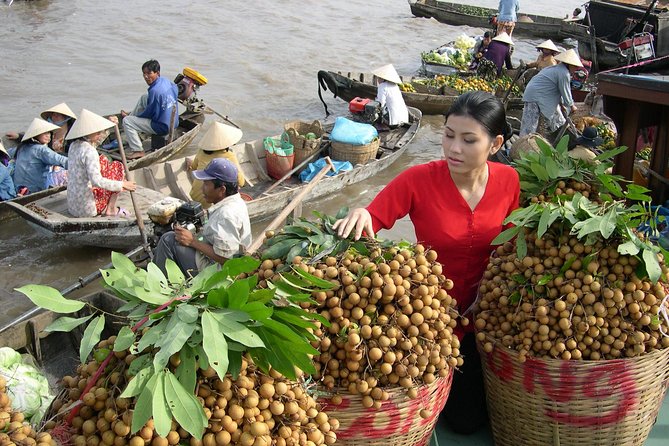 Private Luxury Tour Mekong Delta 1 Day - Good To Know