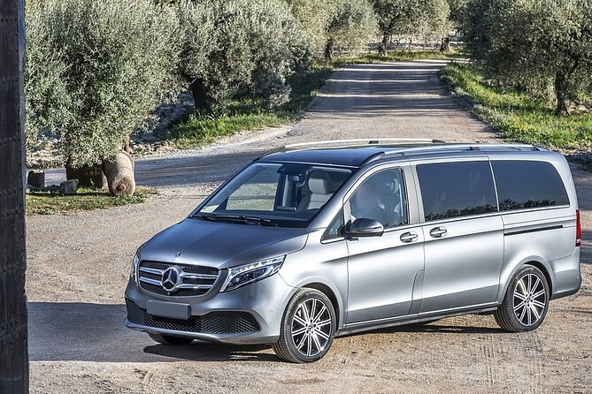 Private Malaga Transfer: Cruise Port to Central Malaga and Costa Del Sol - Pricing and Booking Details