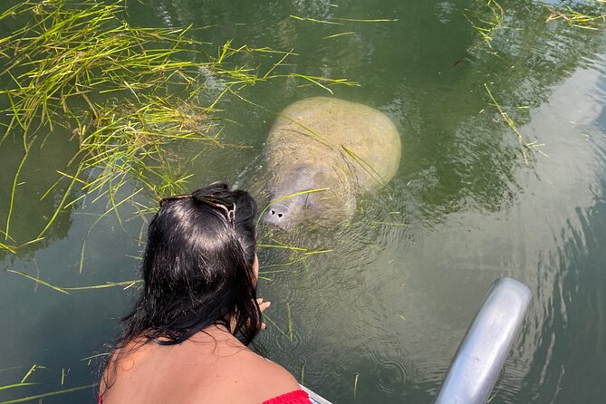 Private Manatee Viewing Cruise - Good To Know